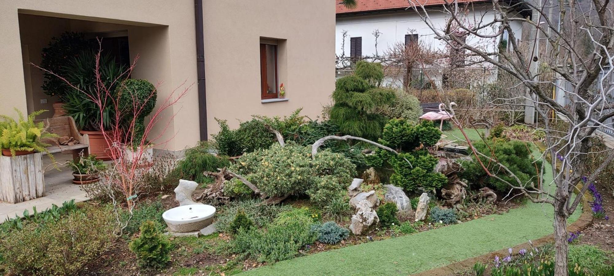 B&B Vegan La Mucca Felice - Grazioso Appartamento Nel Verde Rancio Valcuvia Экстерьер фото
