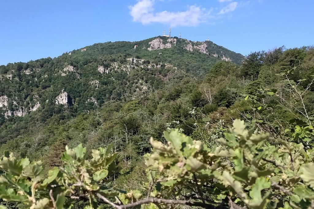 B&B Vegan La Mucca Felice - Grazioso Appartamento Nel Verde Rancio Valcuvia Экстерьер фото