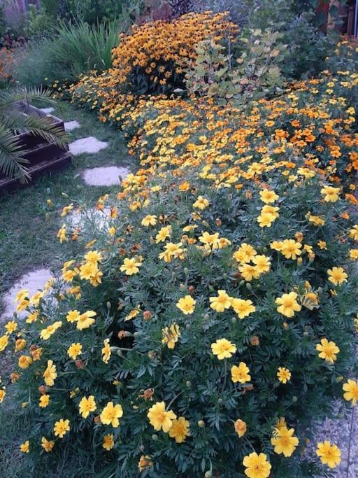 B&B Vegan La Mucca Felice - Grazioso Appartamento Nel Verde Rancio Valcuvia Экстерьер фото