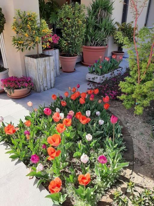 B&B Vegan La Mucca Felice - Grazioso Appartamento Nel Verde Rancio Valcuvia Экстерьер фото