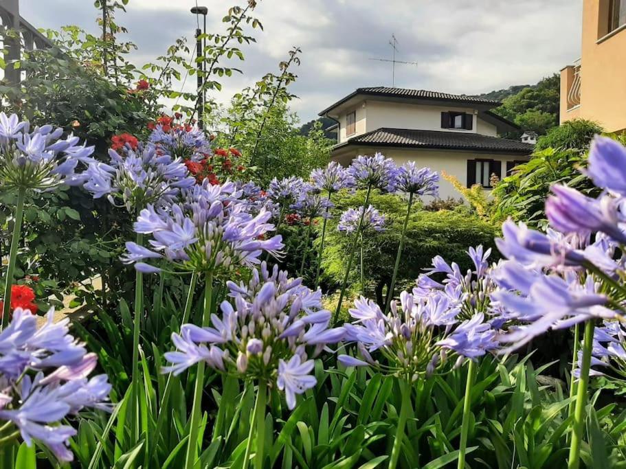 B&B Vegan La Mucca Felice - Grazioso Appartamento Nel Verde Rancio Valcuvia Экстерьер фото