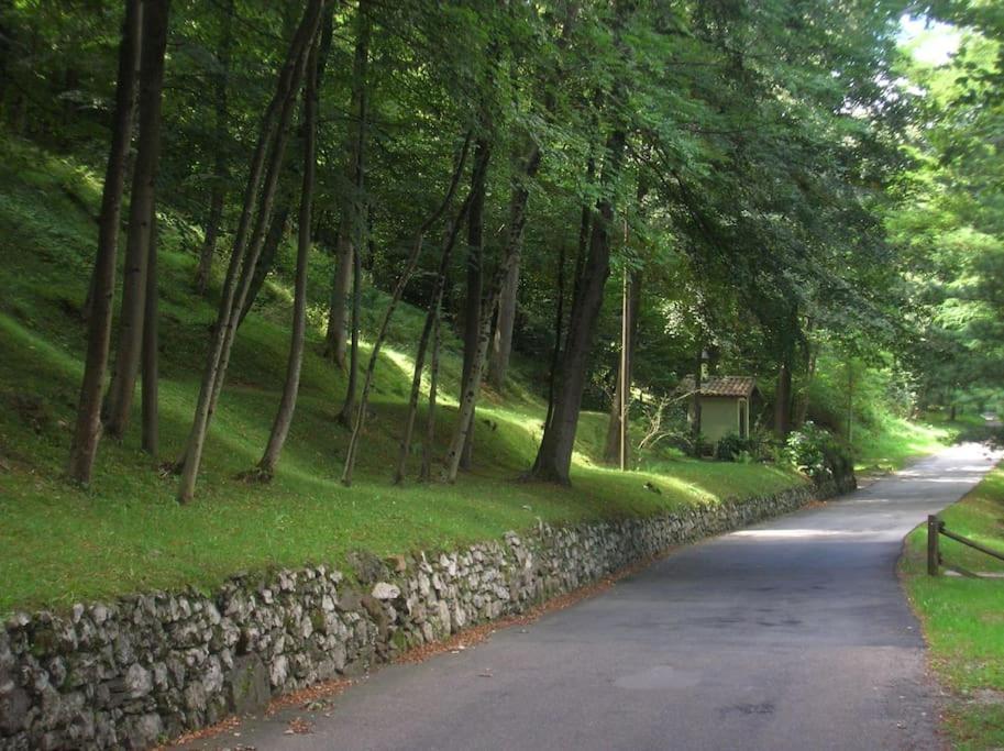 B&B Vegan La Mucca Felice - Grazioso Appartamento Nel Verde Rancio Valcuvia Экстерьер фото